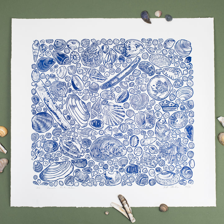 Linocut Print - Shell Collection (Limited Edition)