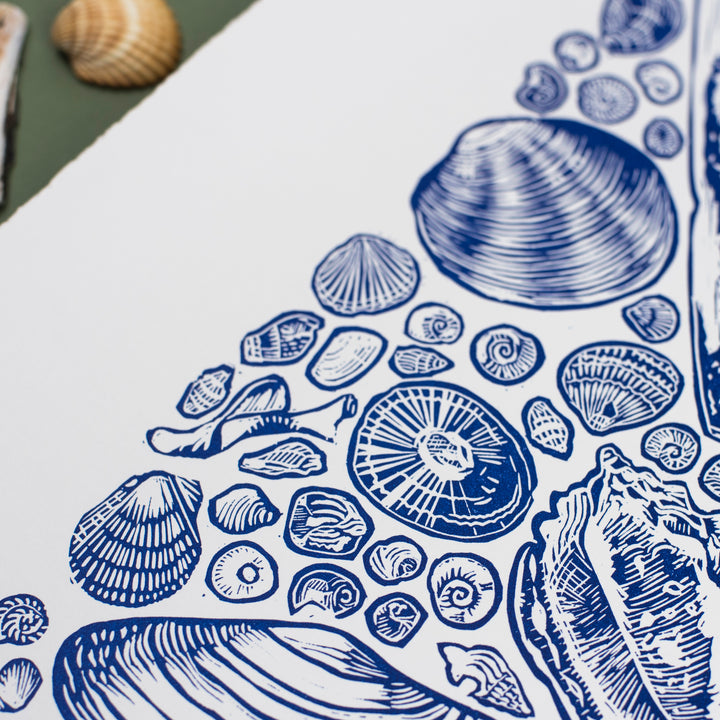 Linocut Print - Shell Collection (Limited Edition)